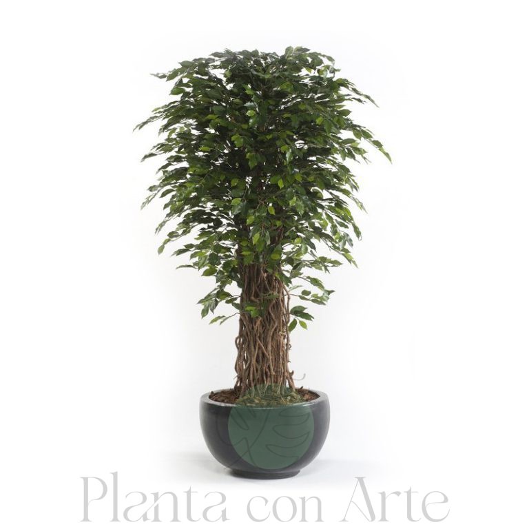 Árbol Ficus Deluxe artificial de 180 cm de altura