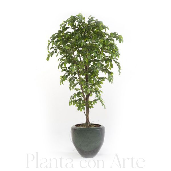 árbol ficus premium artificial de 175 y 205 cm de altura