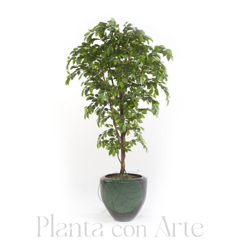 árbol ficus premium artificial de 175 y 205 cm de altura
