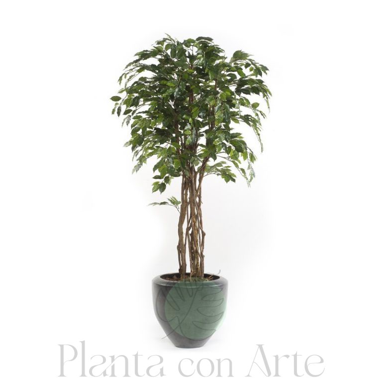 Ficus artificial ECO en dos tamaños
