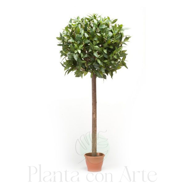 Árbol Laurel esfera artificial en 4 tamaños