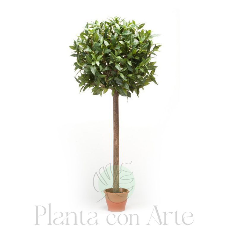 Árbol Laurel esfera artificial en 4 tamaños