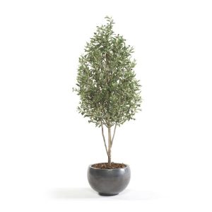 Árbol OLIVO MINI artificial de 175 cm de altura. Arbol Olivo para interior
