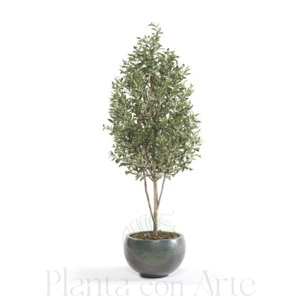 Árbol OLIVO MINI artificial de 175 cm de altura. Arbol Olivo para interior
