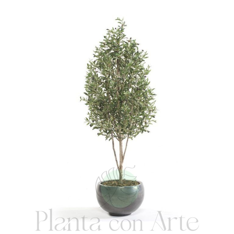 Árbol OLIVO MINI artificial de 175 cm de altura. Arbol Olivo para interior