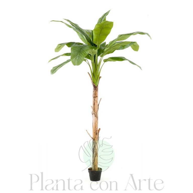 árbol Platanero artificial en dos alturas: 155 y 185 cm