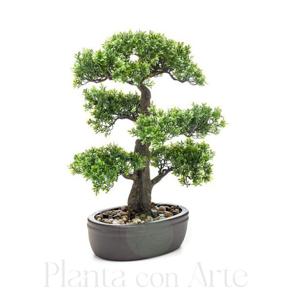 Bonsái Ficus artificial