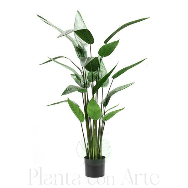Planta HELICONIA artificial en dos alturas: 130 y 180 cm