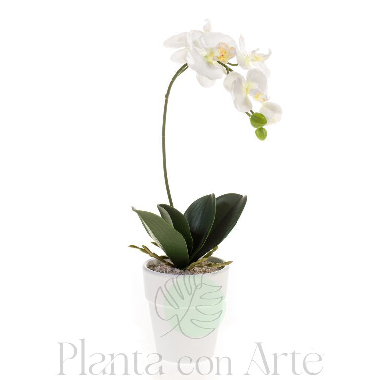 Orquídea blanca artificial Phalaenopsis blanca en maceta blanca