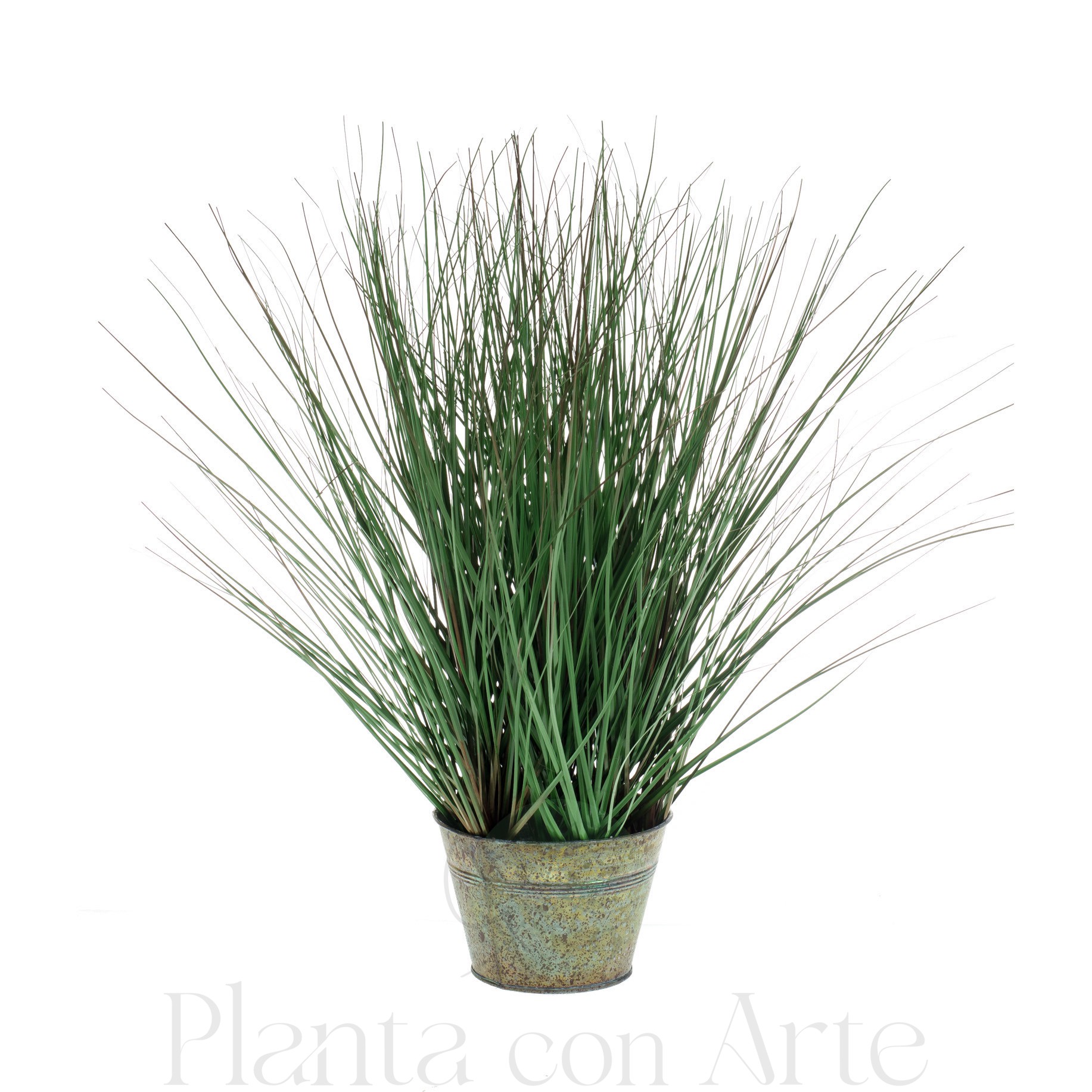 Planta de Hierba salvaje artificial en lata metálica vintage