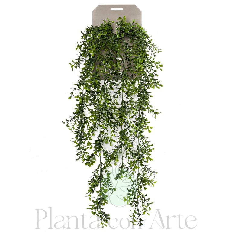 Planta Colgante de BOJ artificial