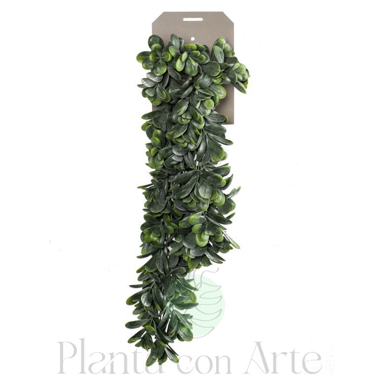 Planta Colgante CRASSULA OVATA artificial - Alto realismo en interior