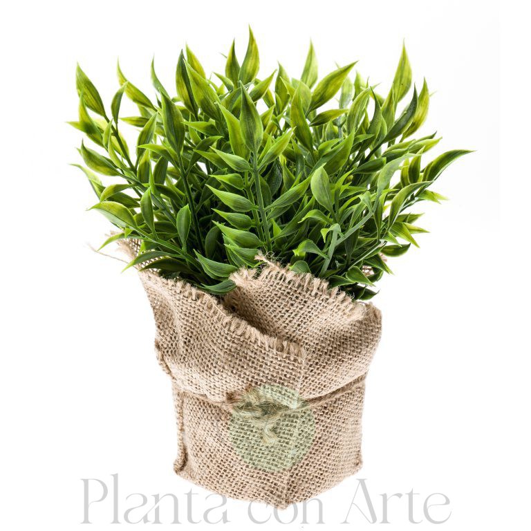 Planta Ruscus artificial en maceta de tela de yute