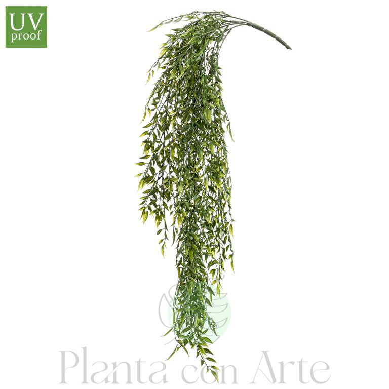 Planta colgante de Bambú para exterior