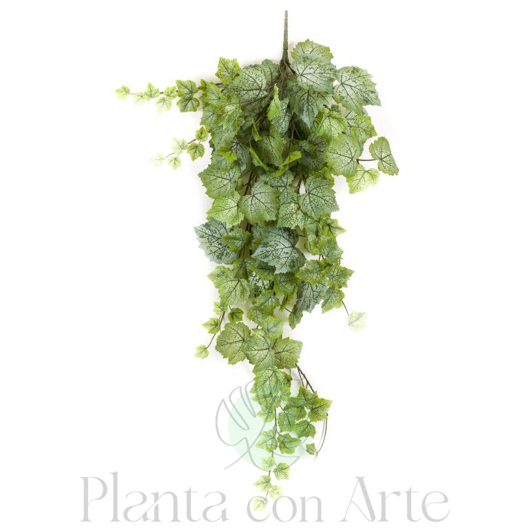 PLANTA COLGANTE HOJA DE PARRA artificial
