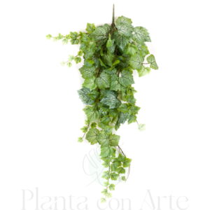 PLANTA COLGANTE DE VID VERDE hiperrealista