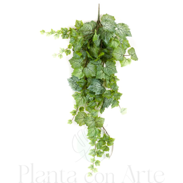 PLANTA COLGANTE DE VID VERDE hiperrealista