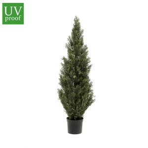 Arizónica de 120 cm para exterior con protección UV