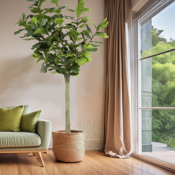 ÁRBOL FICUS LYRATA EN DISEÑO INTERIOR