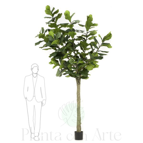 Árbol FICUS LYRATA ALTO artificial, de 3m de altura