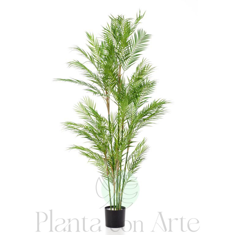 Palmera Style de 180 cm de altura