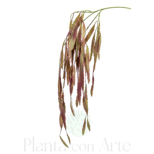 Mata de Rhipsalis artificial para personalizar tu jardín vertical