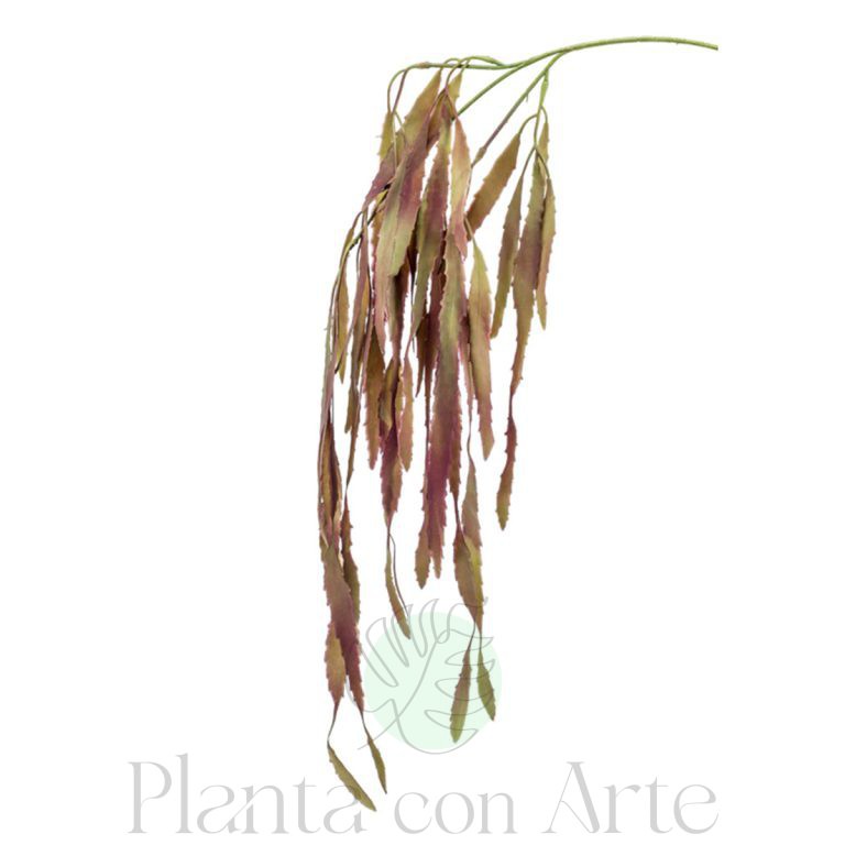 Mata de Rhipsalis artificial para personalizar tu jardín vertical