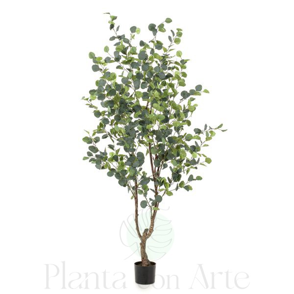 Árbol EUCALIPTO artificial de 180 cm de altura