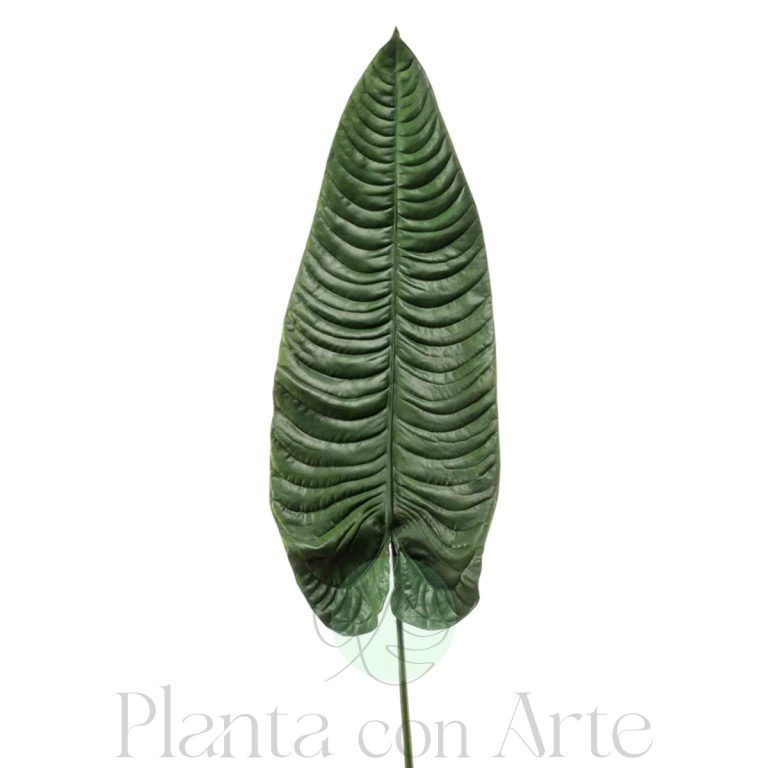Hoja de Elefante verde artificial para personalizar tu jardín vertical