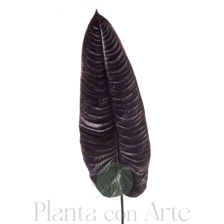 Hoja de Elefante berengena artificial para personalizar tu jardín vertical