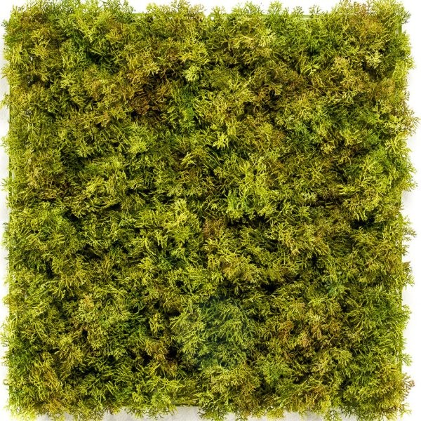 jardin vertical de musgo artificial ignifugo y con tratamiento UV