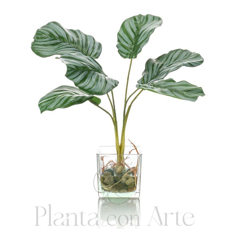 Planta Calatea artificial en vaso de vidrio