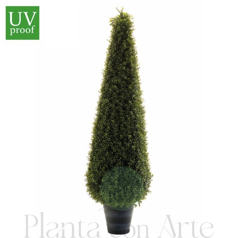 árbol boj cono para exterior con tratamiento UV de 165 cm de altura y 50 cm de diámetro