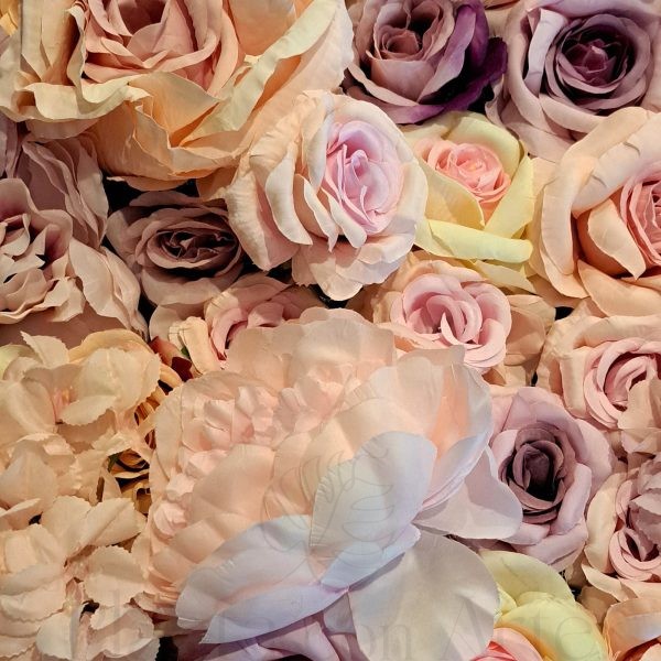 detalle de placa de rosas
