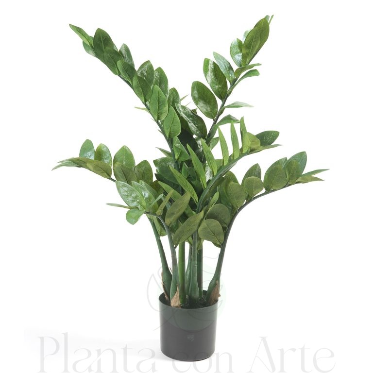 Planta ZAMIOCULCA artificial de 70 cm de altura