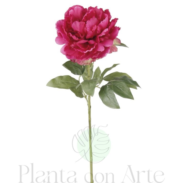 PEONÍA FUCSIA artificial de 65cm de altura. Peonía artificial de color fucsia. Peonía artificial fucsia