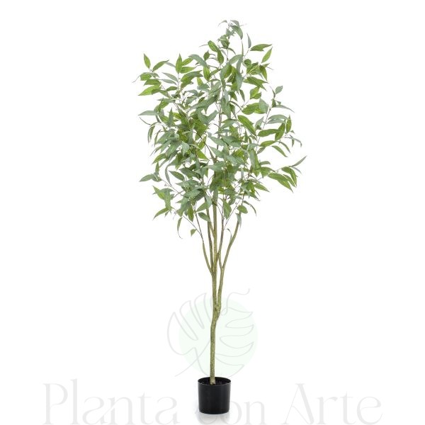 Árbol EUCALIPUS GLOBULUS artificial de 195 cm de altura