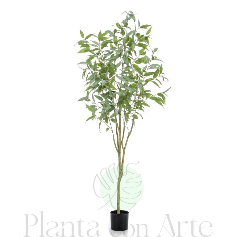 Árbol EUCALIPUS GLOBULUS artificial de 195 cm de altura