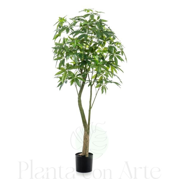 Árbol PACHIRA artificial de 180 cm de altura