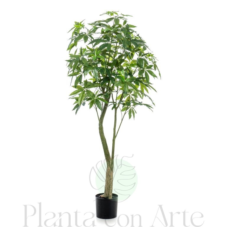 Árbol PACHIRA artificial de 180 cm de altura