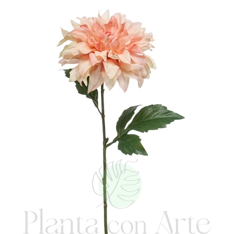 DALIA tono MELOCOTÓN artificial de 60 cm de altura