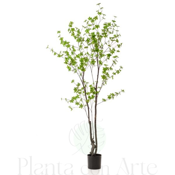 Árbol Tropaelum Speciosum artificial de 210 cm de altura