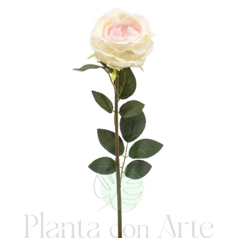 ROSA CREMA artificial de 65 cm de altura, para pinchar en espuma floral o en tierra