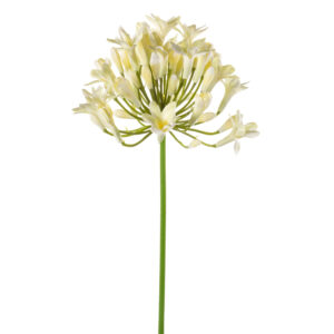 Agapanto CREMA artificial realista o AGAPANTHUS CREMA de 75 cm realista