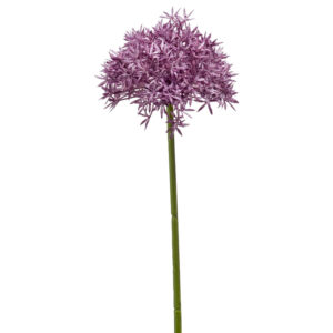 ALLIUM MALVA artificial realista, con 62 cm de altura total, para decorar tus bouquets o jardineras