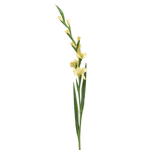 Tallo de GLADIOLO AMARILLO con flores artificial realista de 128 cm de altura total muy realista, para decorar tus bouquets o jardineras