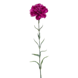 CLAVEL PÚRPURA artificial de 67 cm de altura y 10 cm de ancho, para pinchar en espuma floral o en tierra