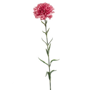 Clavel rosa viejo artificial muy realista, de 67 cm de alto y 10 cm de cabeza.