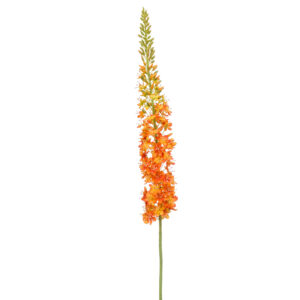 Rama de EREMURUS NARANJA XL con flores de color blanco artificial realista de 130 cm de altura total muy realista, para decorar tus bouquets o jardineras