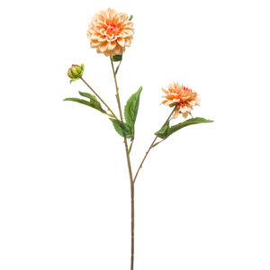 DALIA NENÚFAR MINI MELOCOTÓN artificial de 68 cm de altura y 17 cm de ancho, para decorar centros florales. Esta Dalia MELOCOTÓN MINI artificial muy realista apenas se diferencia visualmente de su modelo natural.